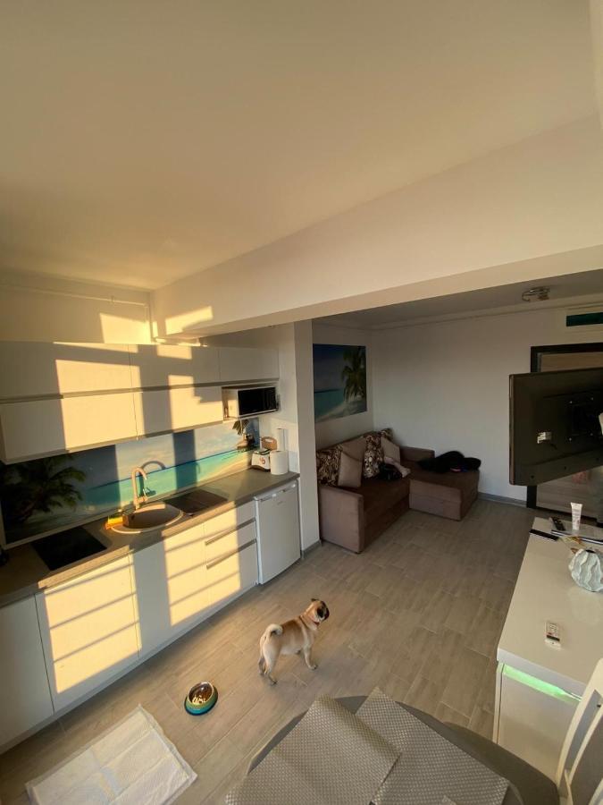 Apartament Edu Beach Resort Navodari Bagian luar foto